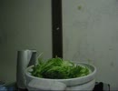 水菜うどん