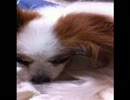 I'm blind♪