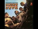 Count Five - Psychotic Reaction