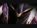 白騎士物語 -光と闇の覚醒- OP