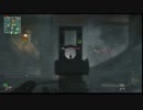 COD:MW3  GWでばら撒く