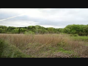 ふらっと鉄道で旅に出た。Part1 近江鉄道・東海道本線編