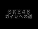 SKE48 ガイシへの道