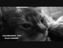 (ネコPV) ELLEGARDEN Salamander ウチのネコはサラマンダー 作ってみた