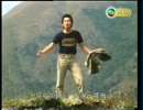 金曲重溫_天邊一隻雁 1981 .mp4