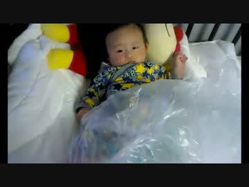 我が家の赤ちゃんと猫の微妙な距離感