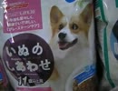 [ライダーカードを求めて迎撃開始] 西湖とワンちゃんオフ　日記後編 [NG]