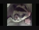 眠さに勝てない澪