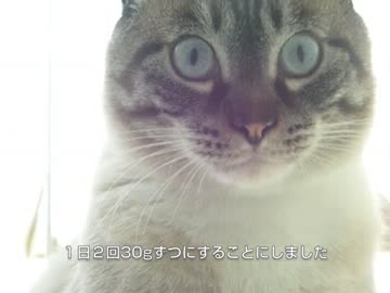 ジャンくん５ヶ月目のちょっとした変化