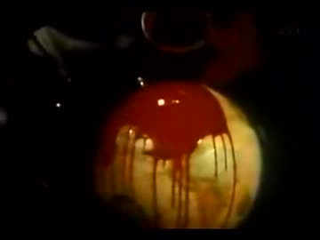 テロとの戦いの真相「第02回 幻の勝利」(01 of 02)