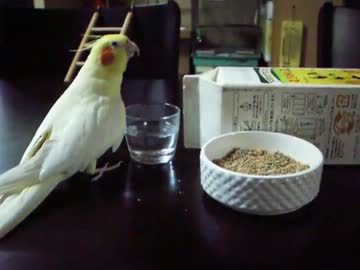 五臓六腑に染み渡る