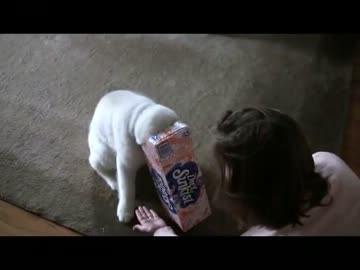 ちょｗｗｗ抜けねえｗｗｗｗｗｗ