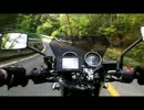 動画投稿テスト
