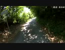 【坂本峠】酷道385号線を走ってみた【下り】