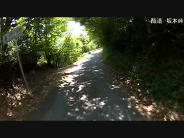 【坂本峠】酷道385号線を走ってみた【下り】