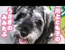 とも蔵のみみたぶ 2006/08/01 #406