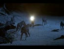 奥さまは名探偵 ～パディントン発4時50分～ 3/8