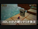 【3Dマリオ】うずくまれ！直立禁止しゃがみマリオ実況！！part8