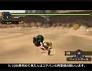【MHP2G】全裸ソーロー武神闘宴 後半