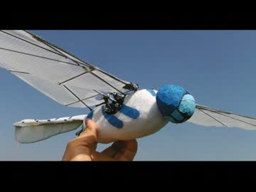 トンボ型羽ばたき機：DragonFly 21-4　試験飛行3