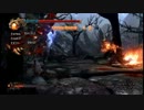 ninja gaiden 2 Mission20