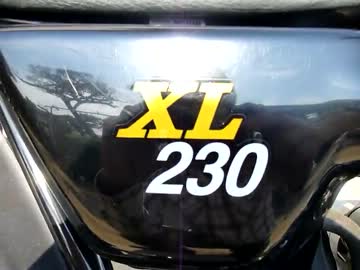 XL230排気音（主にうp主用ｗ）