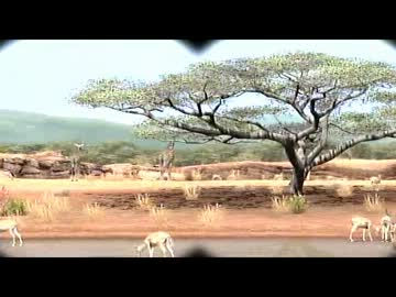 鎌首の『AFRIKA』満喫生活(19)