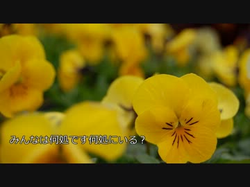 【オフボーカル】「しずくちゃん音頭」練習用動画