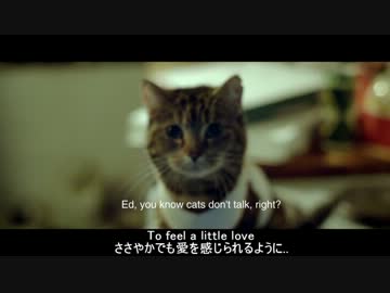 (日本語字幕･歌詞付) (HD) 【PV】 Ed Sheeran - Drunk