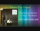 Tears For Fears - Everybody Wants To Rule The World (KEN HIRAYAMA MIX)