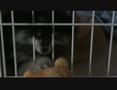 あんこはじめてのお人形