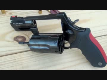 トーラス・レイジングジャッジでスイカをヘッドショット