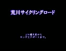 【車載動画】 荒川CR　上江橋手前からホンダエアポートまで走った