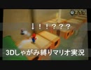 【3Dマリオ】うずくまれ！直立禁止しゃがみマリオ実況！！part10