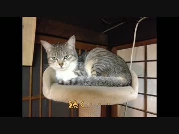 【迷子でも】2012GW山梨まで行ってきた　その2【走るよ】