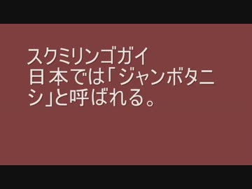 スクミリンゴガイ（ジャンボタニシ）の被害とは
