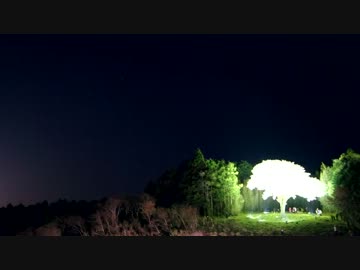 【黒CBR250R(MC41)】まったり四国内ツーリング【月夜桜】