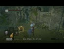 【実況】DARK SOULS解説実況番外編第４回【でもヘタレ】