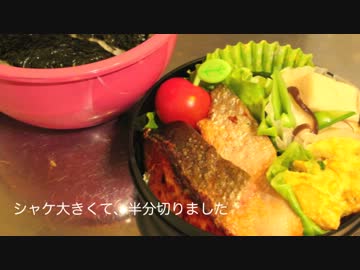 【ランチボウル】弁当女子になりたくてpart.1