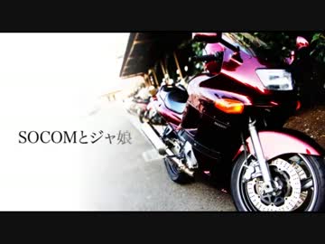 SOCOMとジャ娘（ZZR400) - キャブ分解編