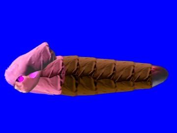 洋服と髪の毛の集合体BB