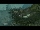 【実況】DARK SOULS解説実況第１４回【でもヘタレ】
