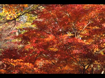 【東方】Moriya set 07 ReEdit 〜 フォールオブフォール【ハウスリミックス】