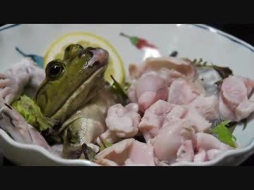 カエルの刺身