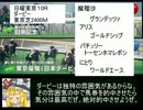 魔理沙の居酒屋競馬予想　３８　「日本ダービー」
