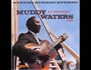 [634] I GOT MY BRAND ON YOU @ MUDDY WATERS AT NEWPORT 1960