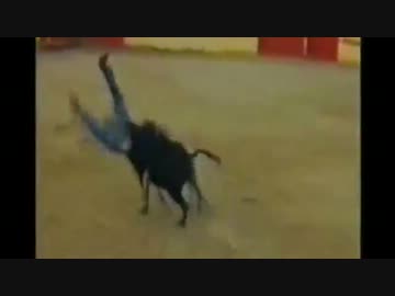 おもしろハプニング集　(転送)