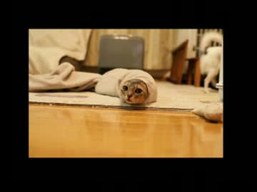 【J-POP】青春時代の大好きな懐メロたち⑨【作業用BGM】