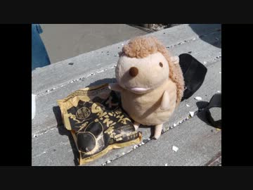 【全力遊楽バイクの旅！！】　初のキャンプ編　その6