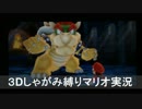 【3Dマリオ】うずくまれ！直立禁止しゃがみマリオ実況！！partLast